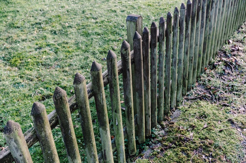 4×4 pressure-treated fence posts (8 ft)